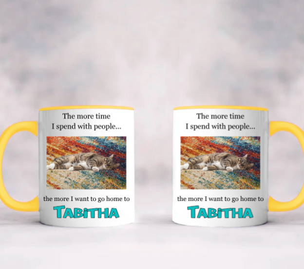 Accent Mug with Custom Pet Photo - The More I Talk to People...