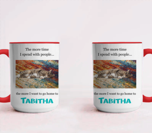 Accent Mug with Custom Pet Photo - The More I Talk to People...