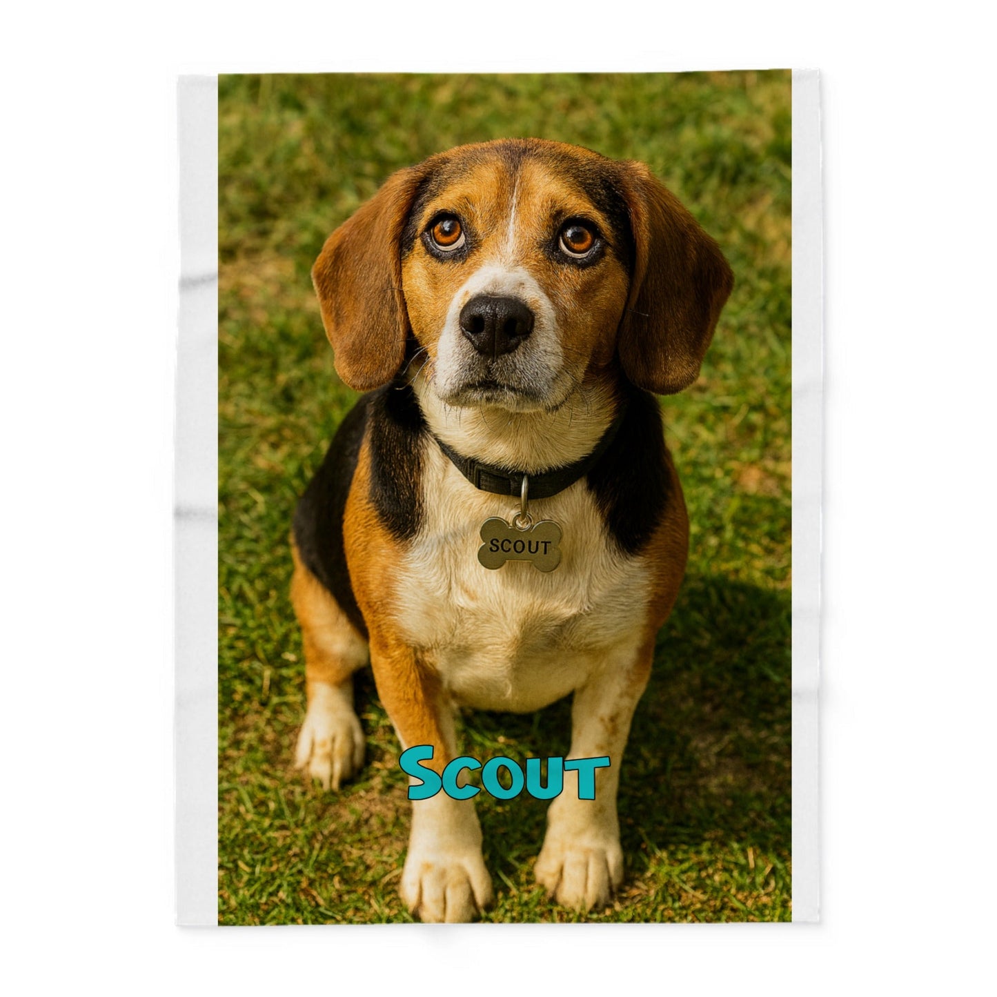 Fleece Blanket with Custom Pet Photo - Wrap Yourself in Love