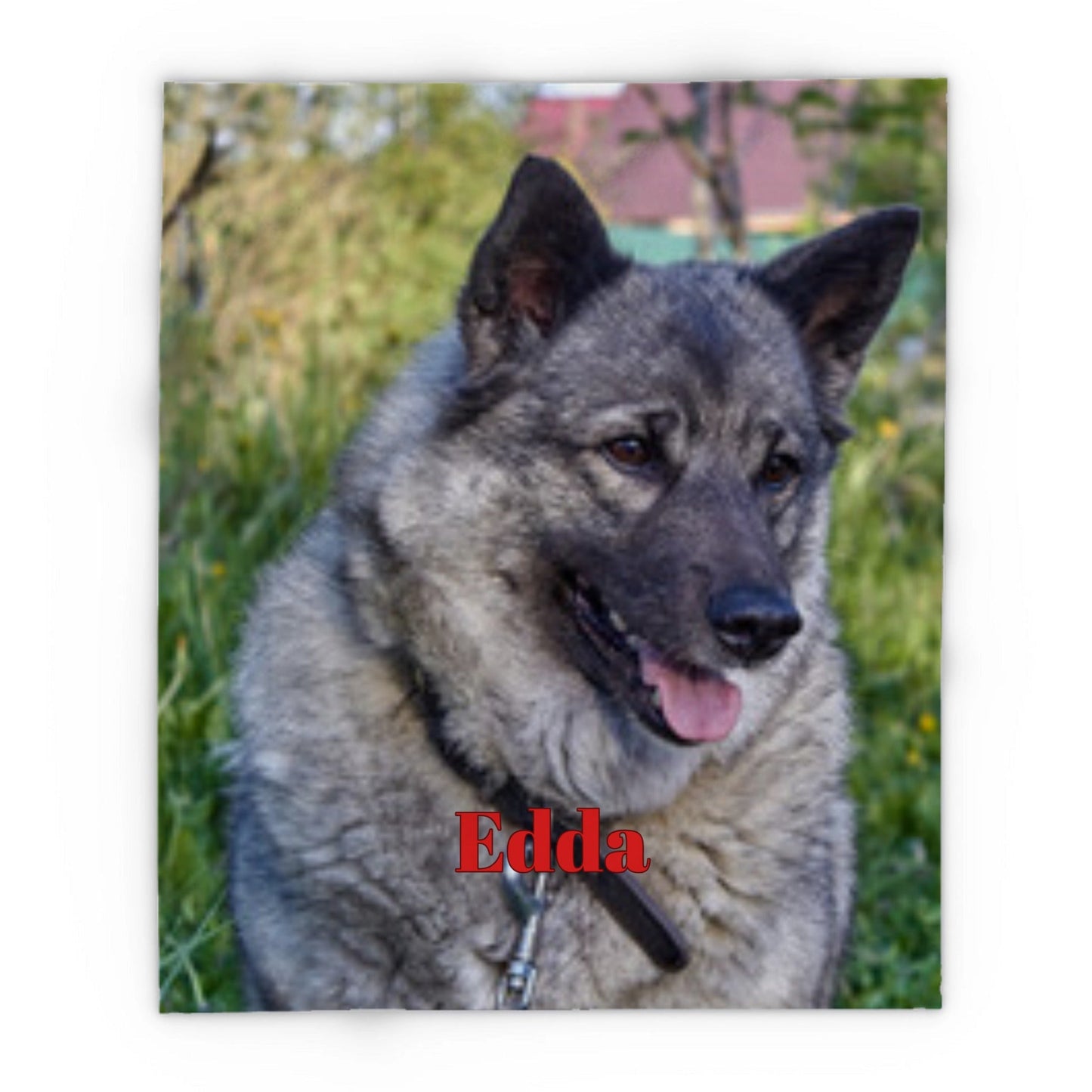 Fleece Blanket with Custom Pet Photo - Wrap Yourself in Love